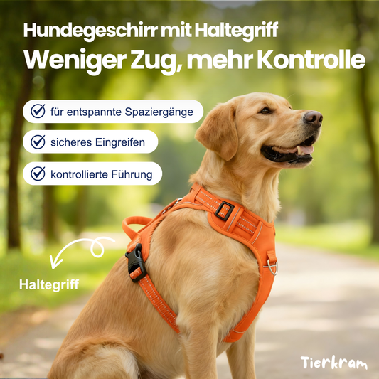 Hundegeschirr mit Haltegriff – sicher, reflektierend & kontrolliert führen