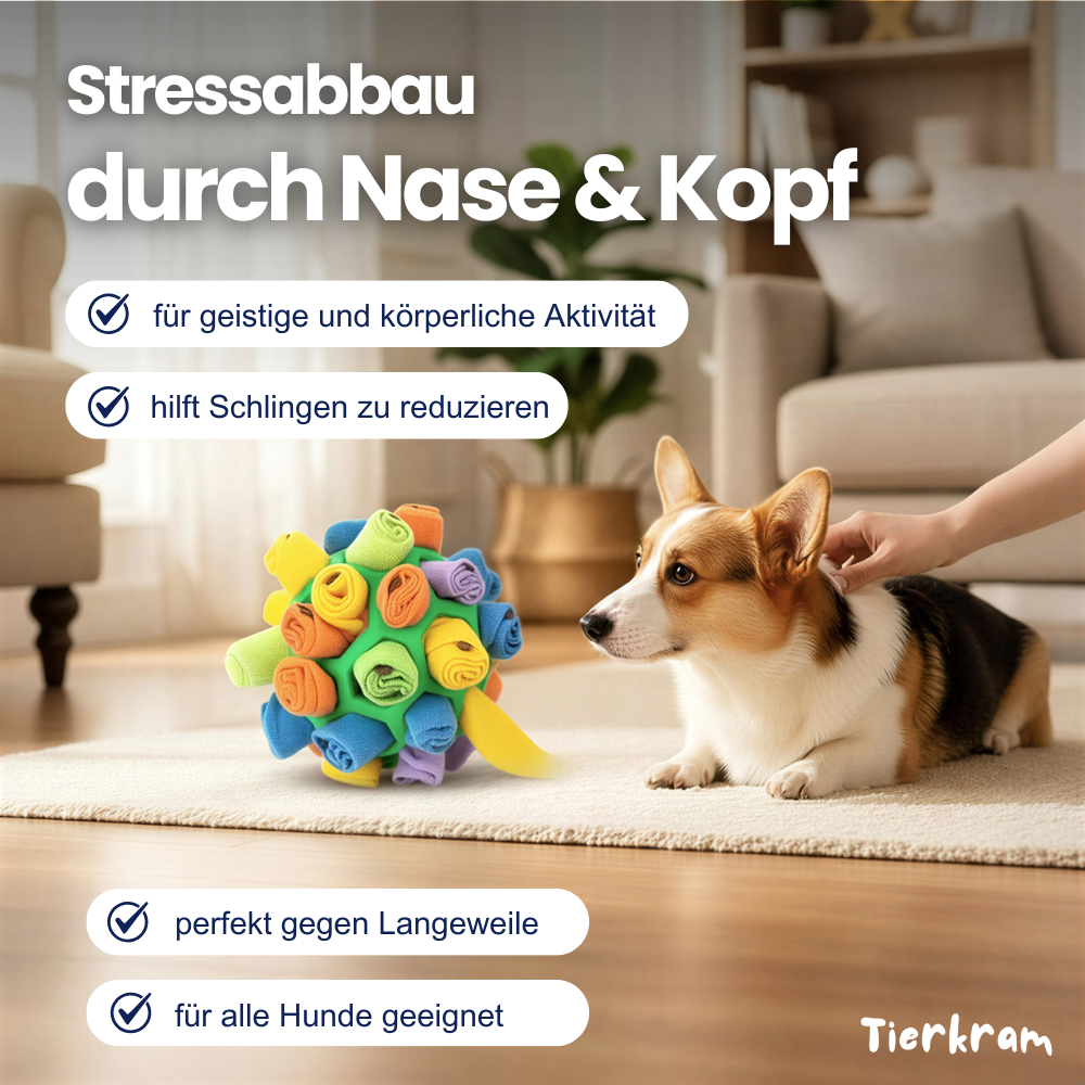 Schnüffelball für Hunde – Spaß, Auslastung & langsameres Fressen