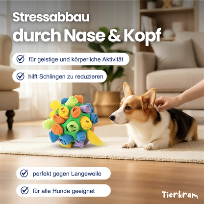 Schnüffelball für Hunde – Spaß, Auslastung & langsameres Fressen