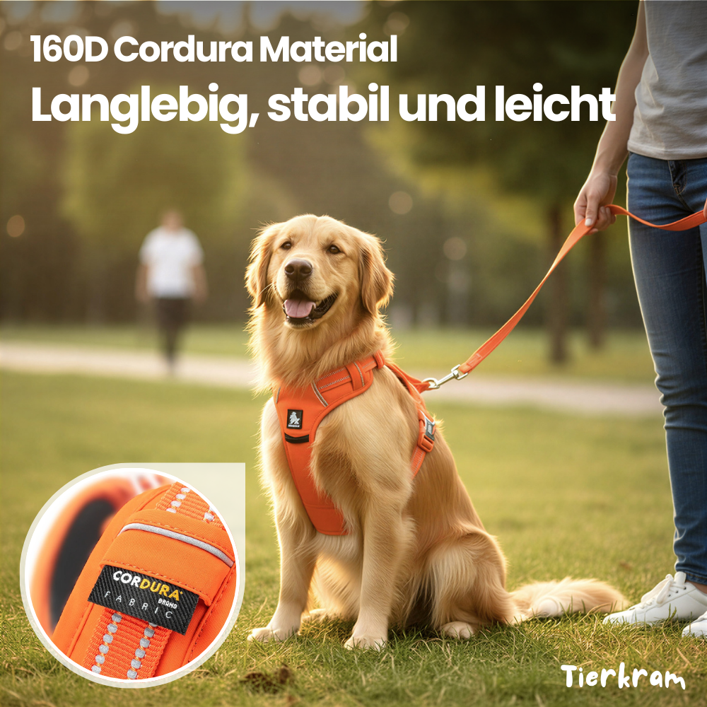 Hundegeschirr mit Haltegriff – sicher, reflektierend & kontrolliert führen