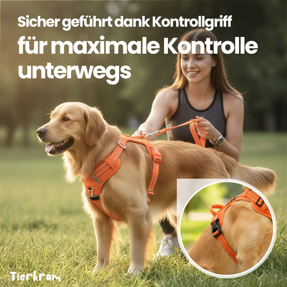 Hundegeschirr mit Haltegriff – sicher, reflektierend & kontrolliert führen