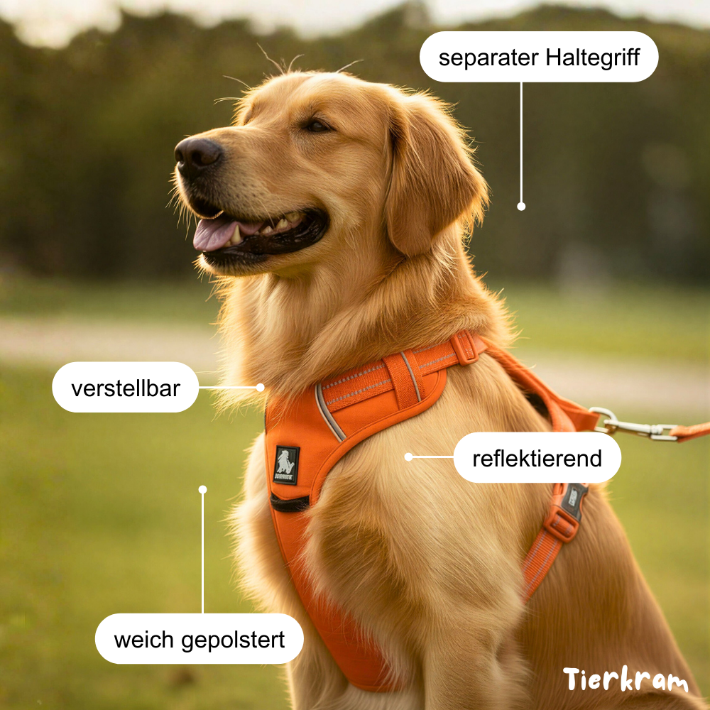 Hundegeschirr mit Haltegriff – sicher, reflektierend & kontrolliert führen