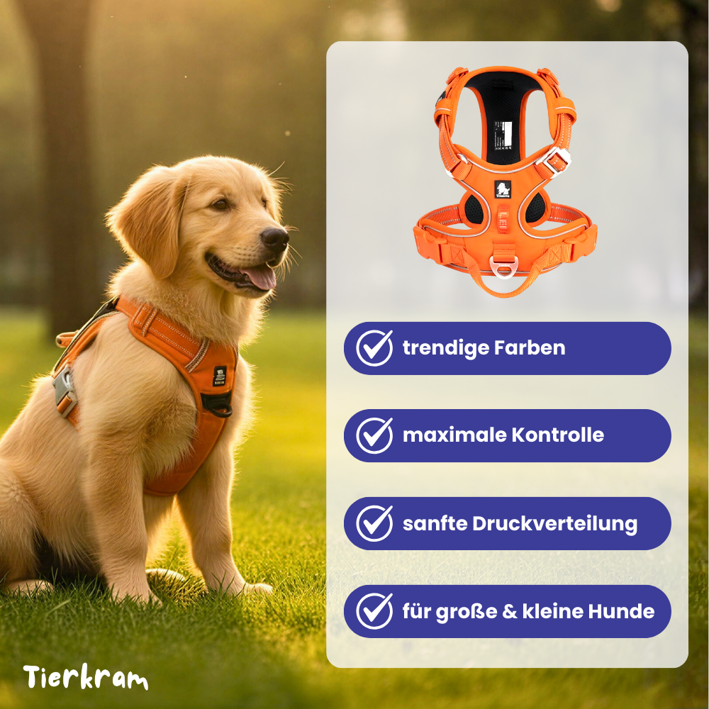 Hundegeschirr mit Haltegriff – sicher, reflektierend & kontrolliert führen
