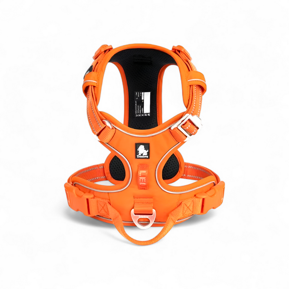 Hundegeschirr mit Haltegriff – sicher, reflektierend & kontrolliert führen