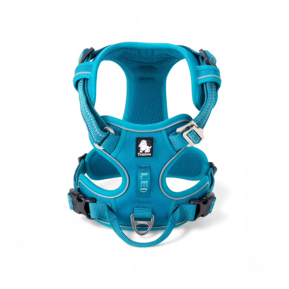 Hundegeschirr mit Haltegriff – sicher, reflektierend & kontrolliert führen