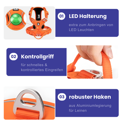Hundegeschirr mit Haltegriff – sicher, reflektierend & kontrolliert führen