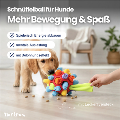 Schnüffelball für Hunde – Spaß, Auslastung & langsameres Fressen