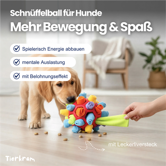 Schnüffelball für Hunde – Spaß, Auslastung & langsameres Fressen